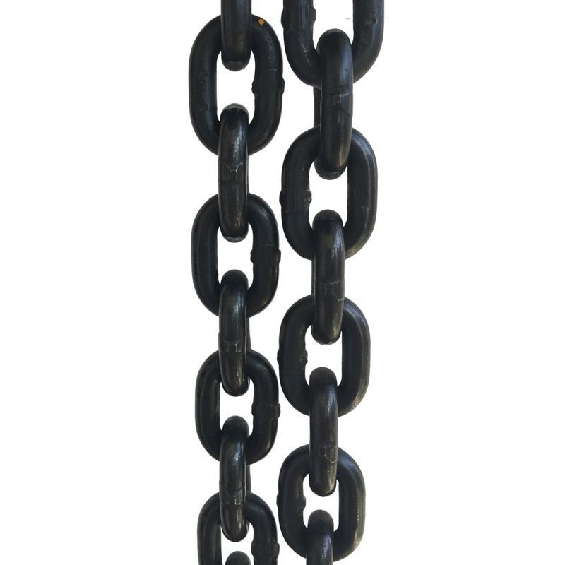 Elevator Chain for Filler